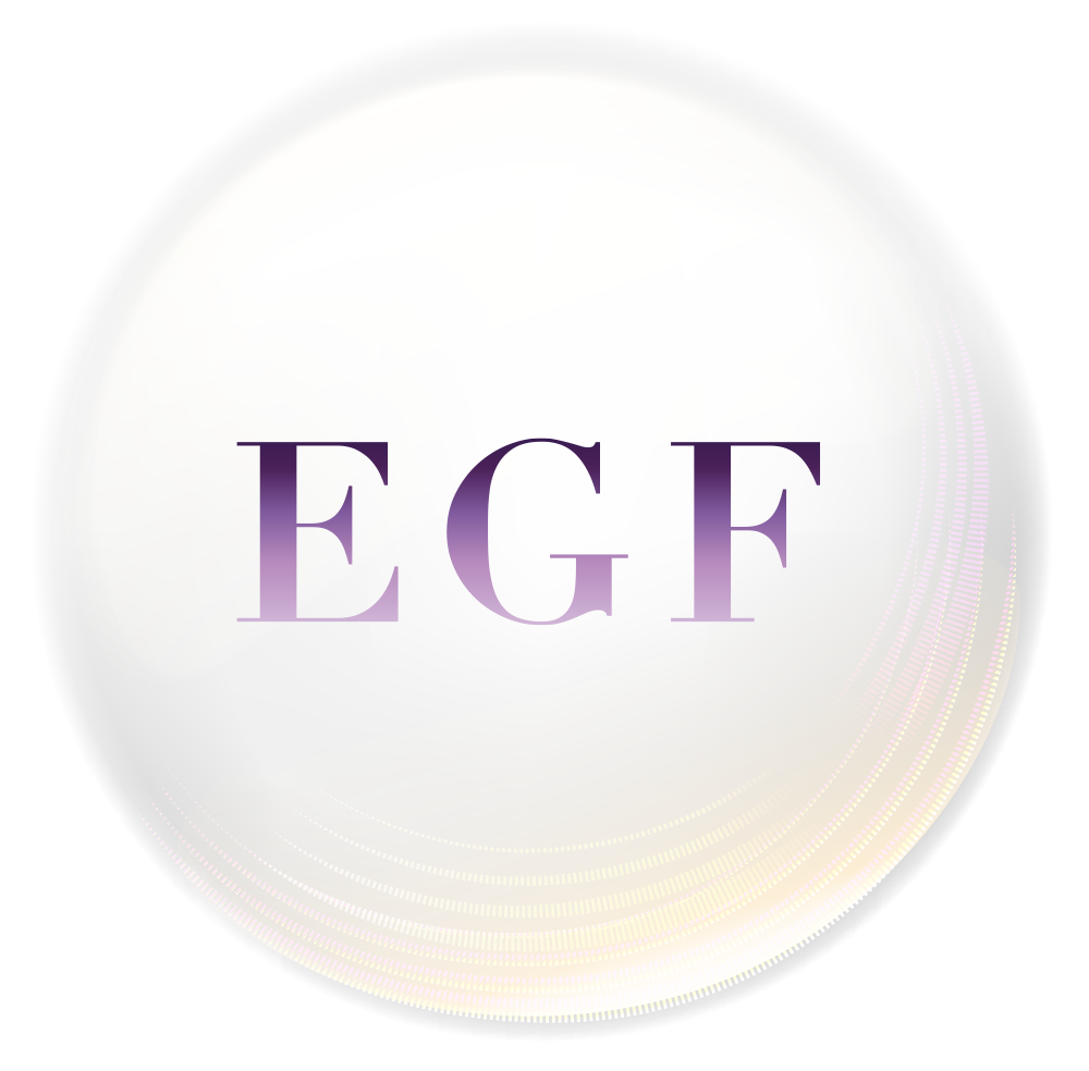 EGF画像